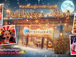 Handicapformidlingens Julehygge (5. december i Ishøj)