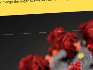 Forebyggelse og inddæmning af coronavirus/covid-19